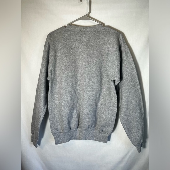 Hanes Disneyland Disney Parks Splash Mountain Grey  Crewneck Size S - Picture 10 of 10